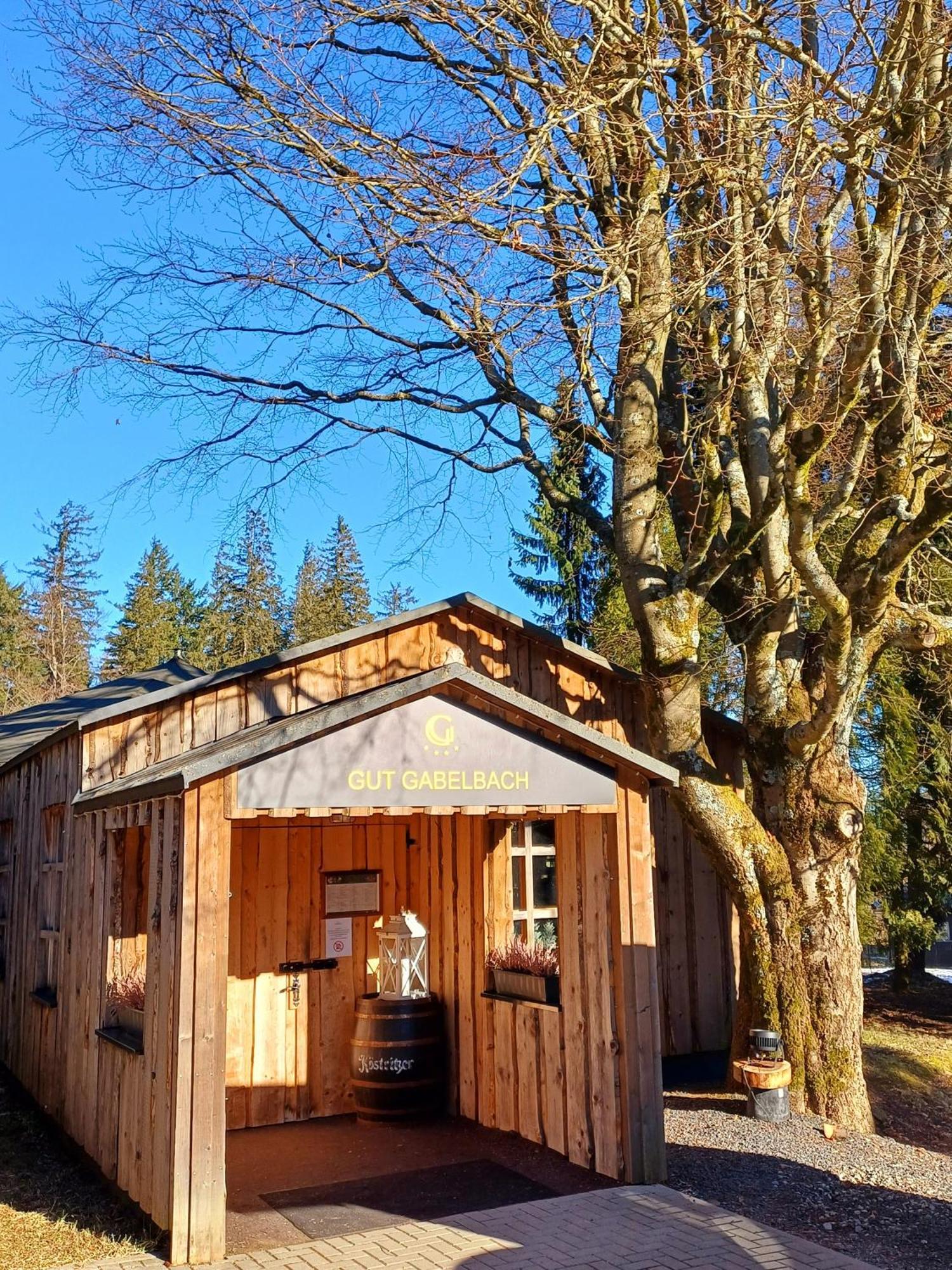 Berg & Spa Hotel Gabelbach イルメナウ エクステリア 写真